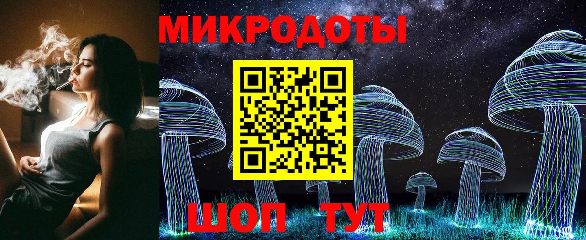Галлюциногенные грибы Cubensis Минусинск