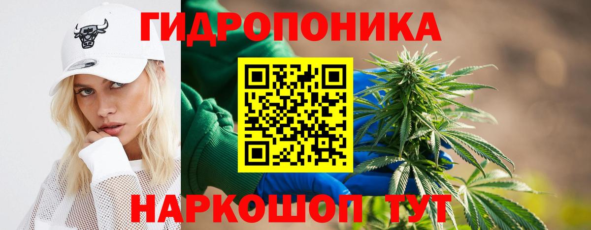 МАРИХУАНА планчик  Вход с VPN  Минусинск  Марихуана планчик  МАРИХУАНА план  Шишки марихуана план 
